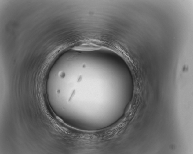 X0000096150193200801251112
