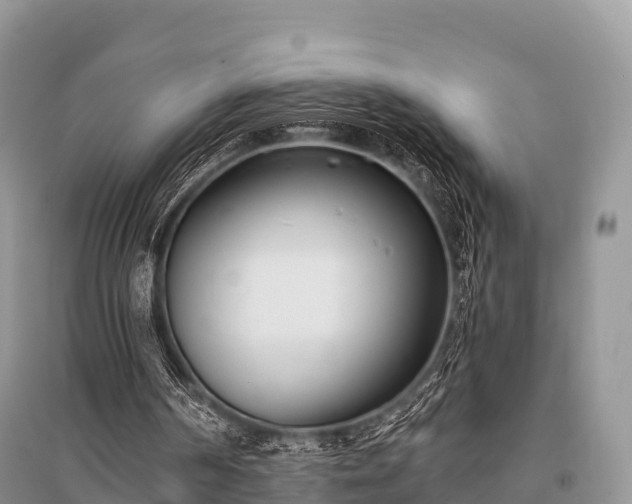 X0000096150194200801251112