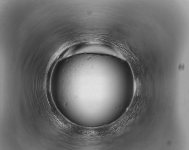 X0000096150195200801251112