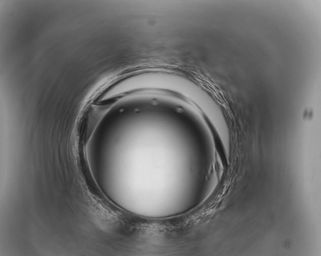 X0000096150197200801251112