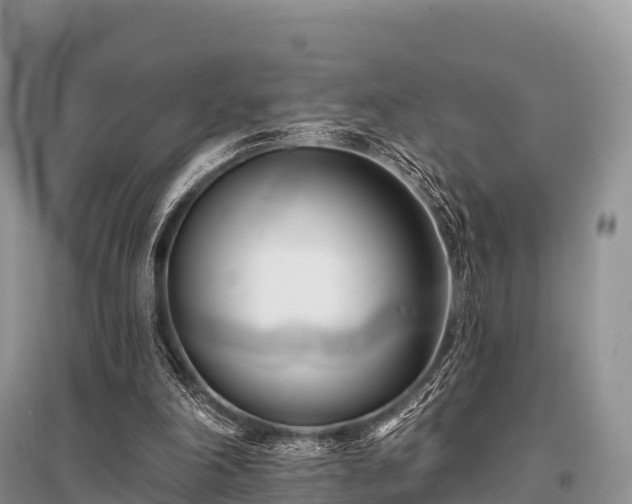 X0000096150198200801251112