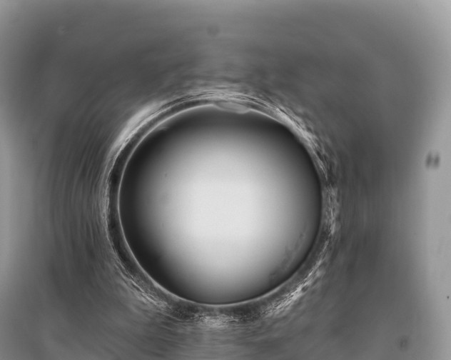 X0000096150199200801251112