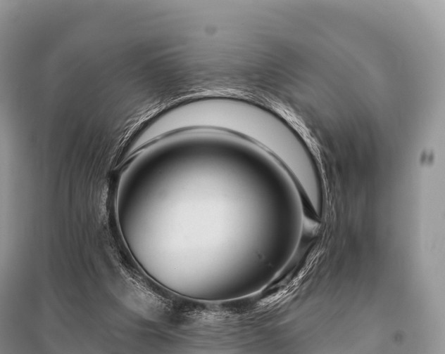 X0000096150201200801251112