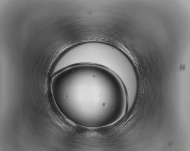 X0000096150203200801251112