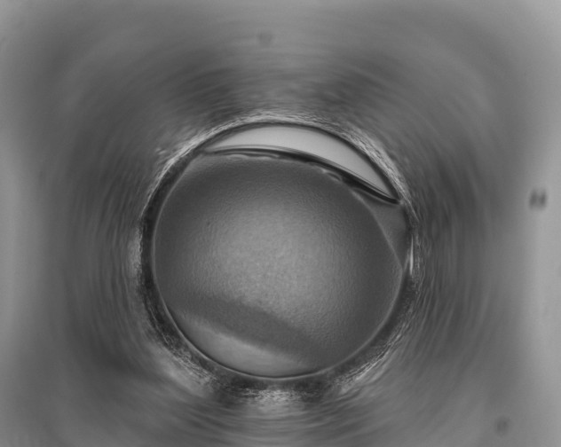 X0000096150204200801251112