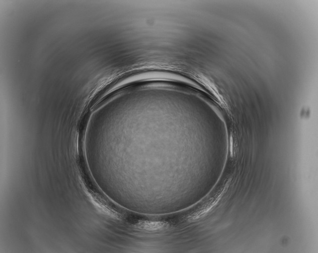 X0000096150205200801251112