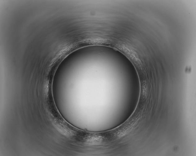 X0000096150206200801251112