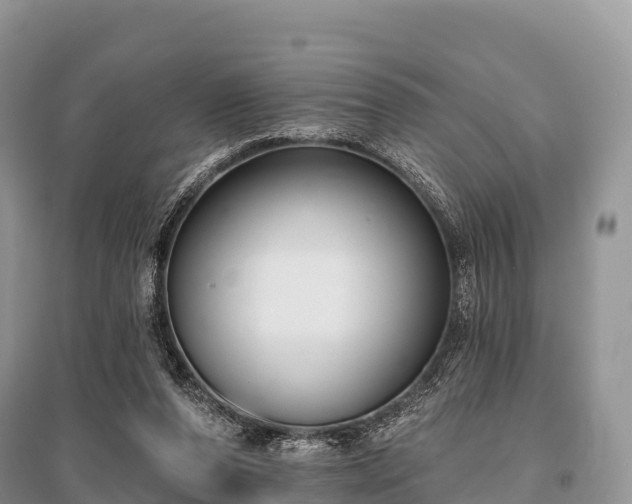 X0000096150208200801251112