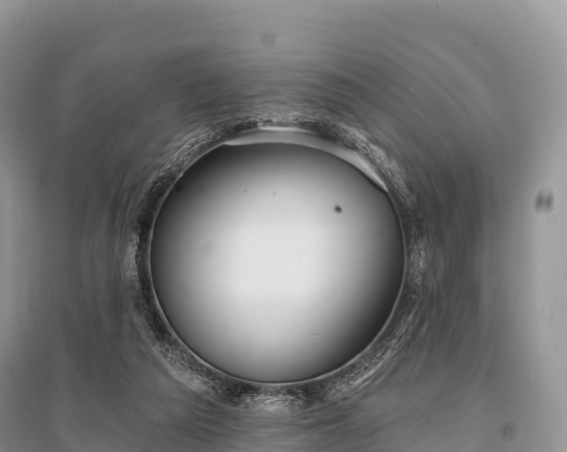 X0000096150209200801251112
