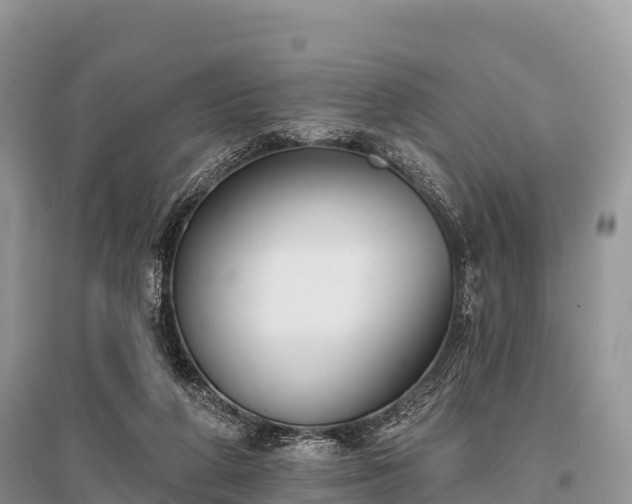 X0000096150210200801251112