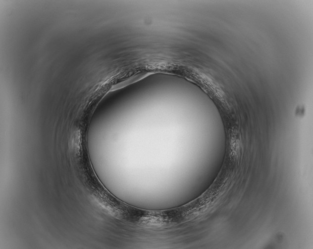 X0000096150211200801251112