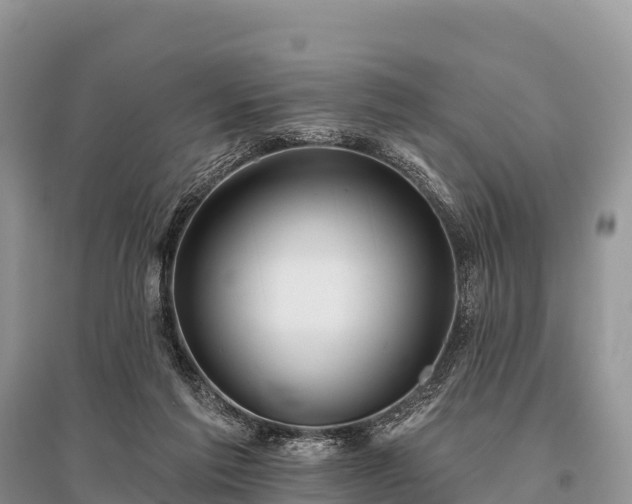 X0000096150213200801251112