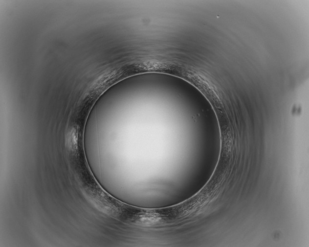 X0000096150214200801251112