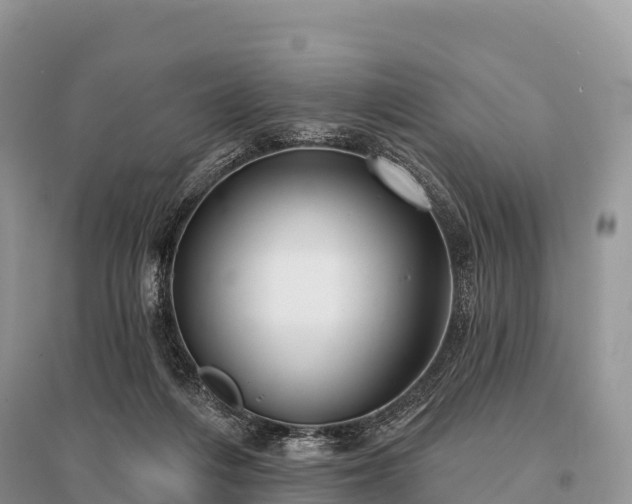 X0000096150216200801251112