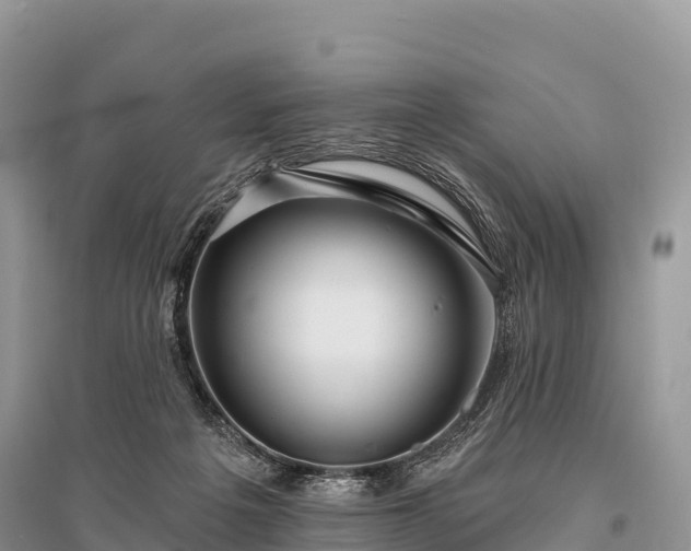 X0000096150217200801251112