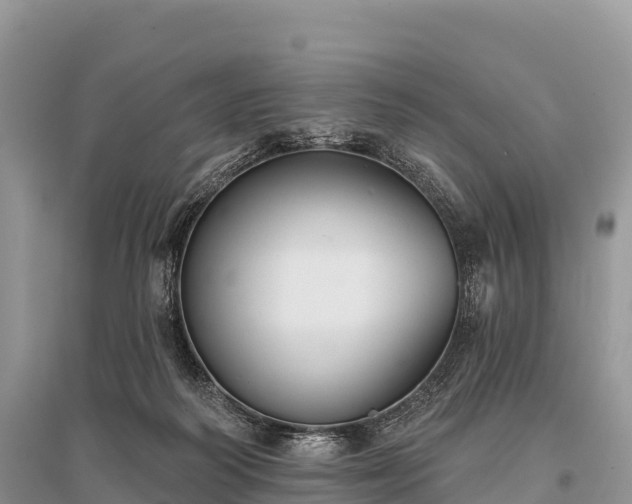 X0000096150218200801251112