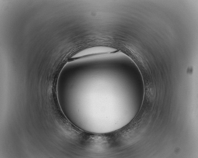X0000096150221200801251112