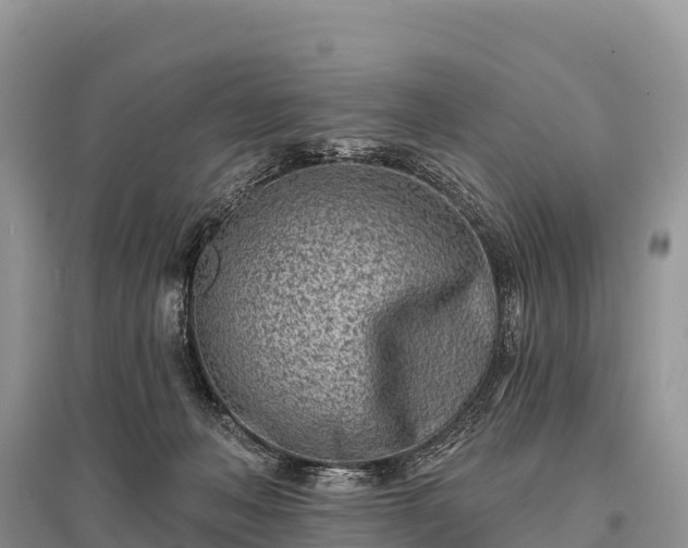 X0000096150222200801251112