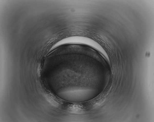 X0000096150223200801251112