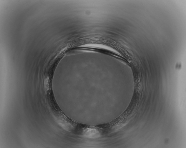X0000096150224200801251112
