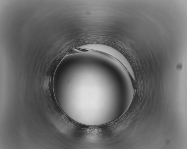 X0000096150225200801251112