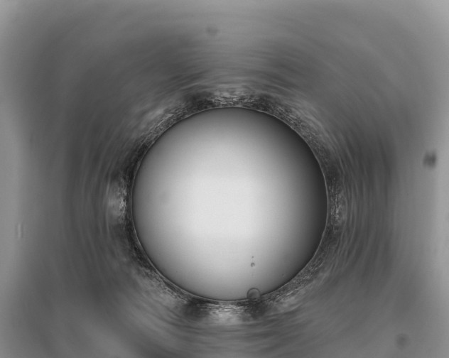X0000096150226200801251112