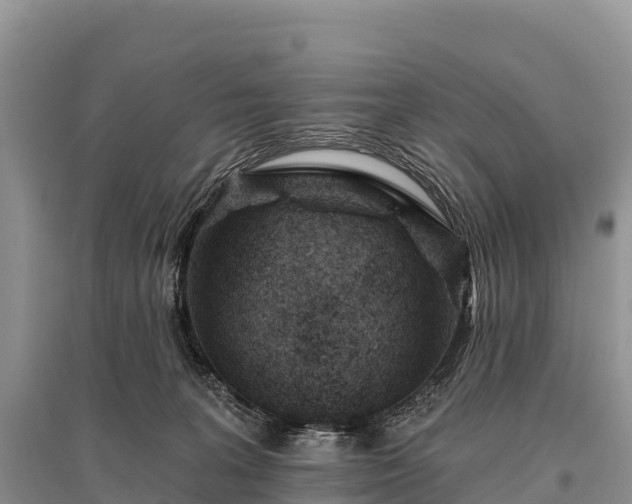 X0000096150227200801251112