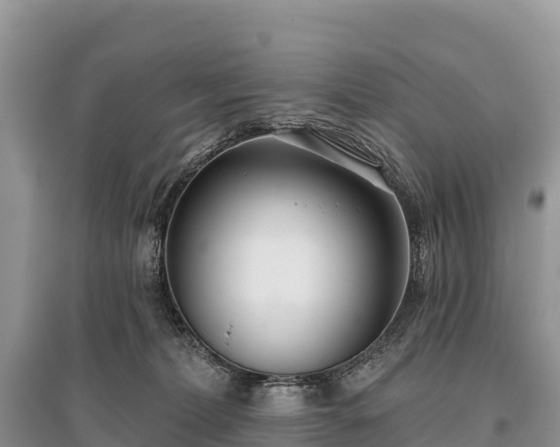 X0000096150228200801251112