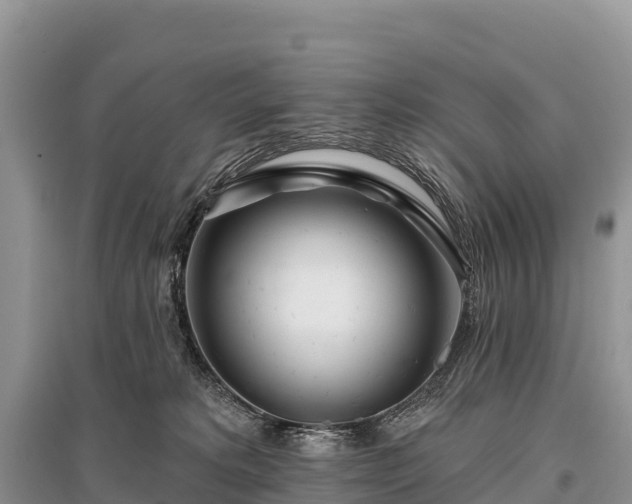 X0000096150229200801251112