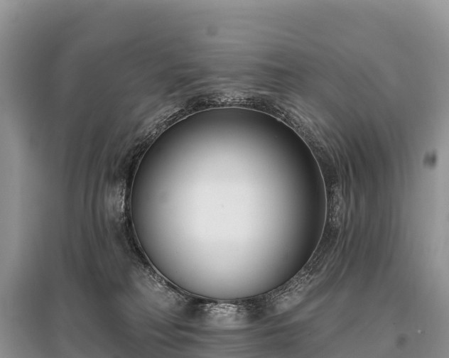 X0000096150230200801251112