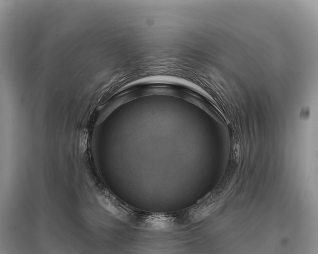 X0000096150231200801251112