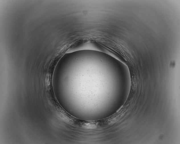X0000096150232200801251112