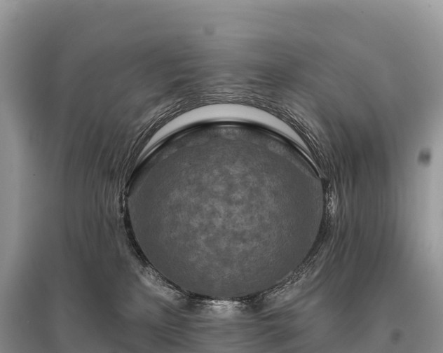 X0000096150233200801251112