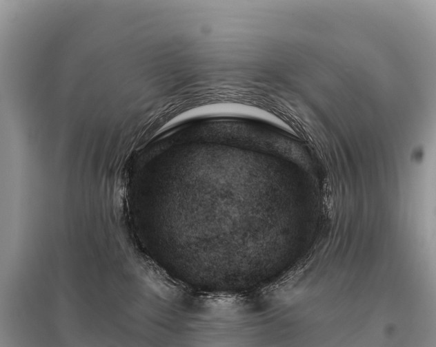 X0000096150235200801251112