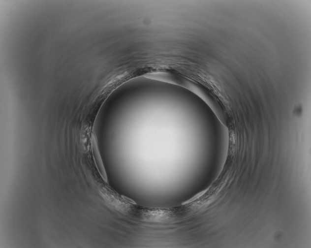 X0000096150237200801251112