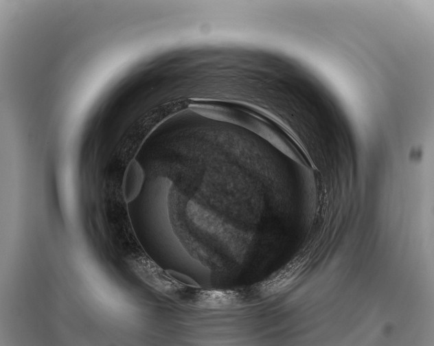 X0000096150239200801251112