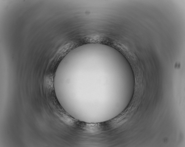 X0000096150240200801251112