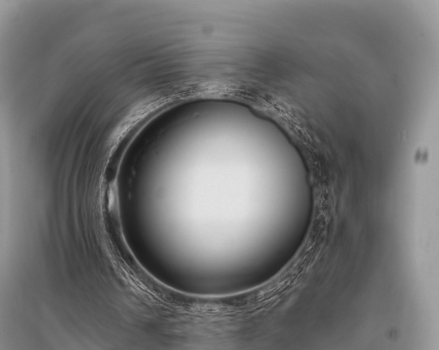 X0000096150242200801251111