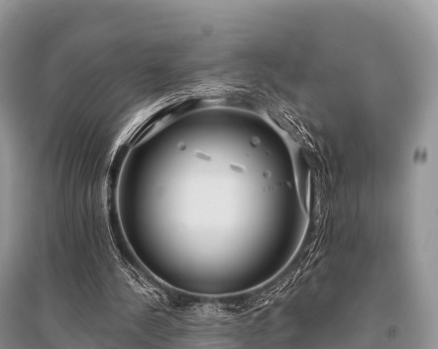 X0000096150244200801251111