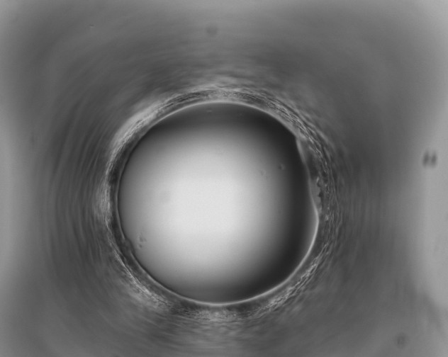X0000096150245200801251111