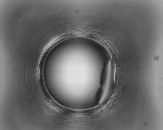 X0000096150246200801251111