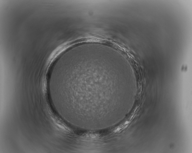 X0000096150247200801251111