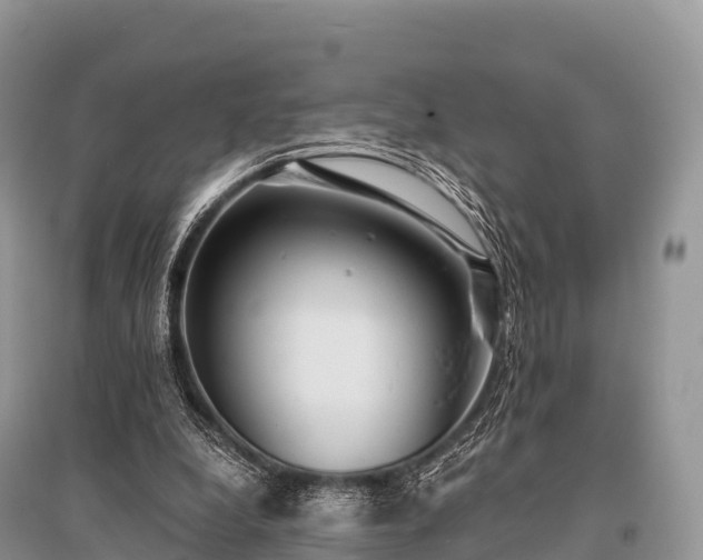 X0000096150248200801251111