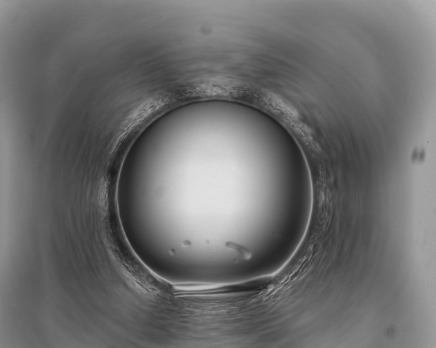 X0000096150250200801251111