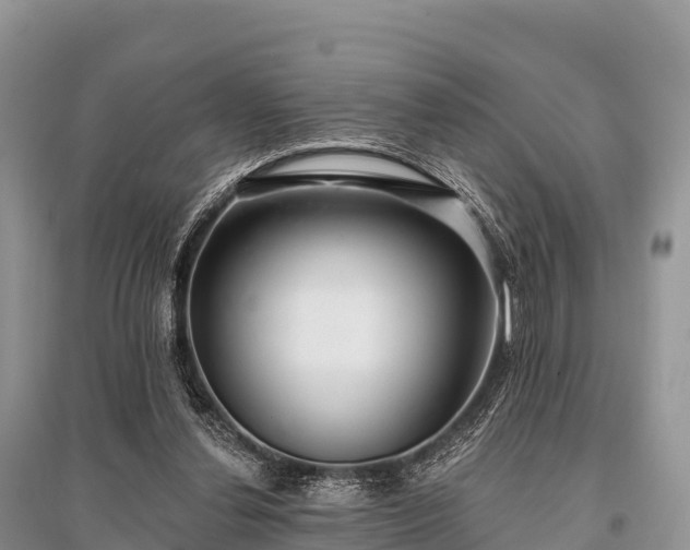 X0000096150252200801251111