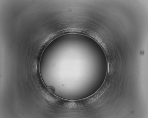 X0000096150253200801251111