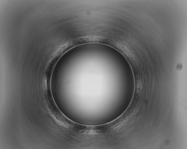 X0000096150254200801251111