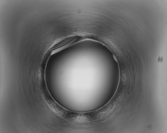 X0000096150256200801251111