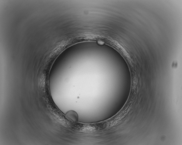 X0000096150257200801251111