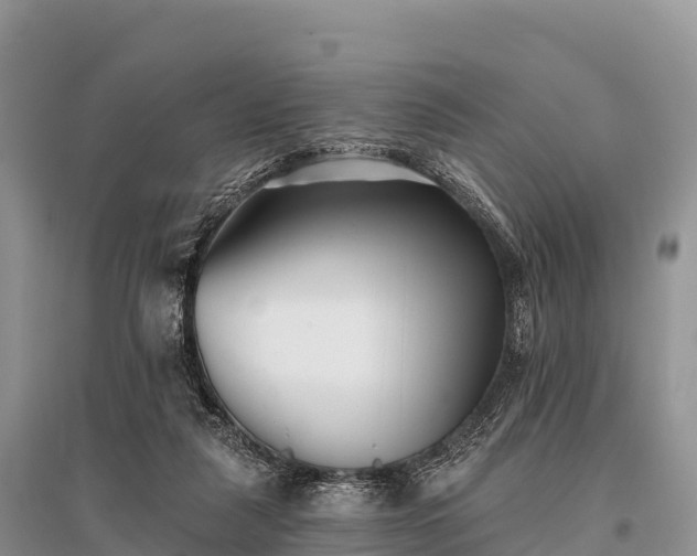 X0000096150259200801251111